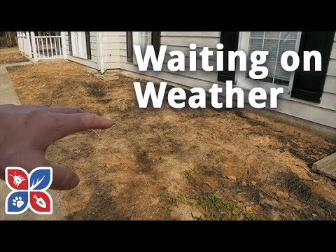  Do My Own Lawn Care - Waiting on Weather Video 