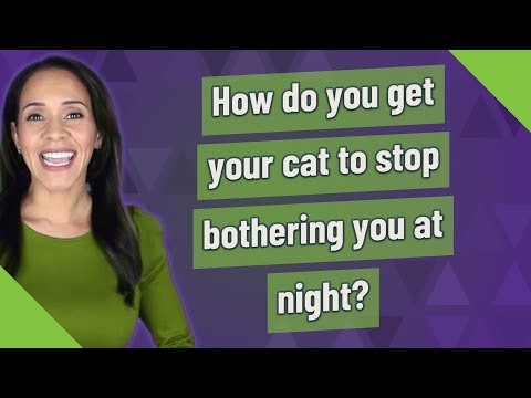How do you get your cat to stop bothering you at night?