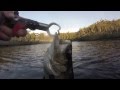 Wilderness kayak fishing