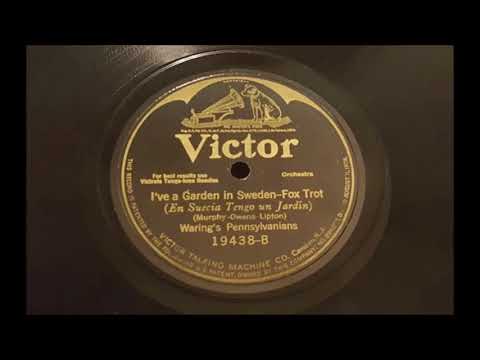 Waring's Pennsylvanians - I've A Garden In Sweden (1924)