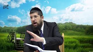 שידור חי של קו ההלכה הספרדי