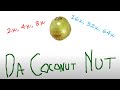 The Coconut Song 2x 4x 8x 16x 32x 64x