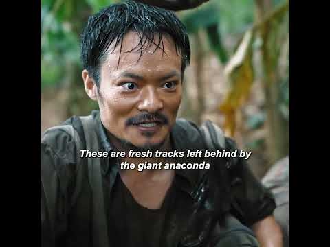 The man ventured into the primeval forest for a giant python. #movie #film#edit #shorts