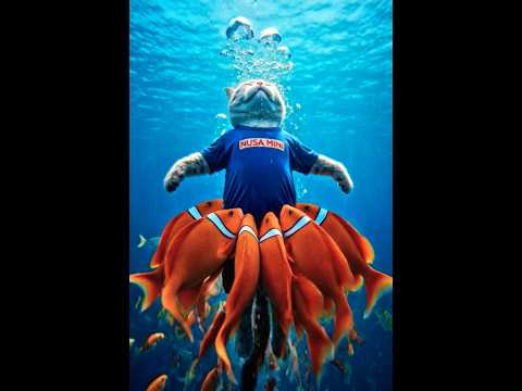 Kucing VS Preman😱 Ending....?? #catvideos #fyp #cat #catshorts #ai #kucing #ai #aivideo