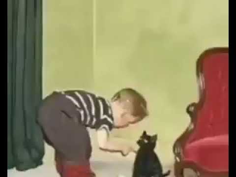 rat slow dancing in the dark