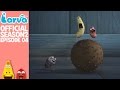 Official Brown S Back Larva Season 2 Episode 4