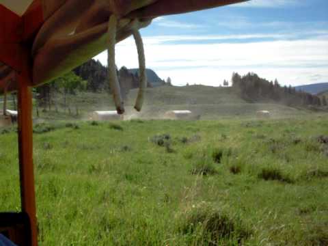 Life on the Wagon Train