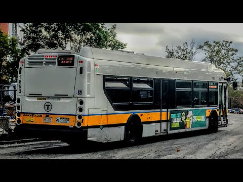 3 Stories, 1 Trilogy | Yoshi's Ride Series {S7-E22} - Riding the 43 🚌 - {MBTA}