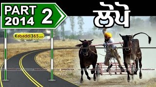  Lopo (Moga) Ox Race 3 May 2014 