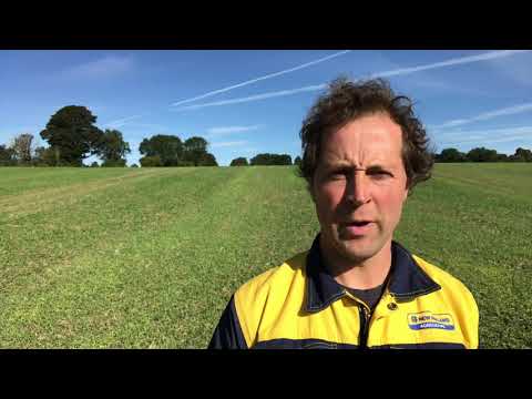 Oilseed Rape Establishment 2019 Part 3 : “The Ugly”.