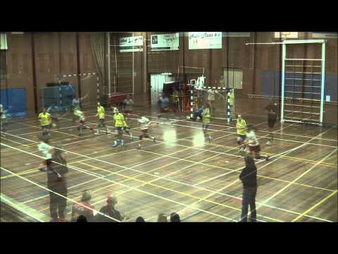 Legmeervogels A1 - VZV A1 Tophandbal