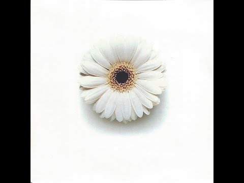 Renaissance: The Mix Collection Part 3 [Disc 2] - mixed by Fathers of Sound | 1996 Progressive House