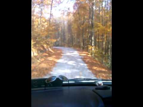 Spre Carbunari 2015 toamna