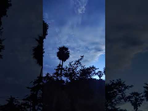 #ceará #viral #10mil #aracoiaba ##ceará #vivavideo #shortsvideos #shorts #lindo #céu #céusabertos #m