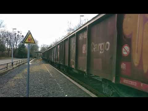 Br 261 mit Güterzug