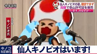 このキノピオは本当のことを言っているのか？【ペーパーマリオ カラースプラッシュ ヤマブキー山】