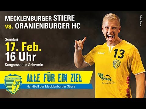 Mecklenburger Stiere vs. Oranienburger HC