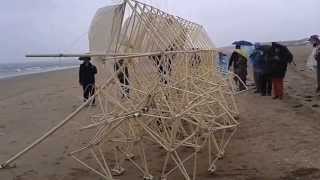 preview picture of video 'The Strandbeest.'