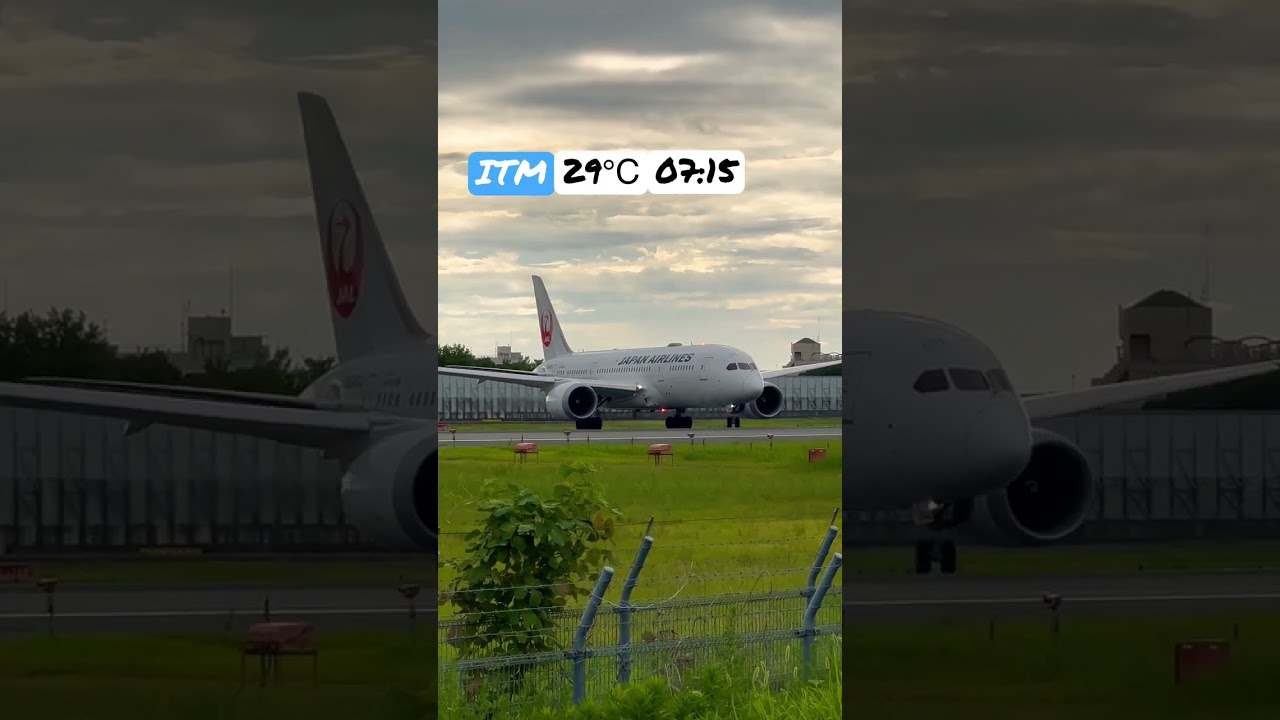 Boeing787 Dreamliner JAL The plane turns Osaka International Airport #jal #boeing787dreamliner #turn