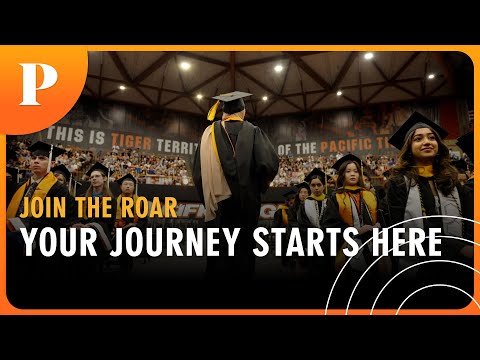 Your Journey Starts Here