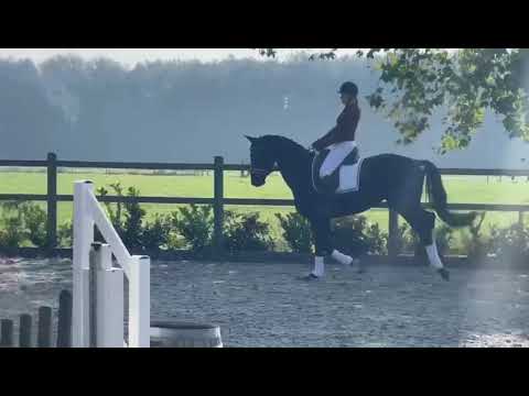 Total US x Tuschinski