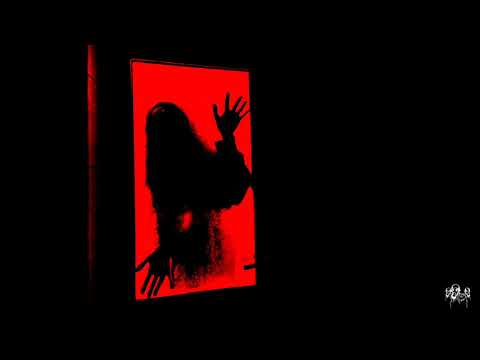 NOSEDA  |  Let's Go Dark