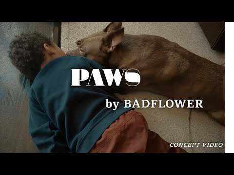 Paws-Badflower-Concept Video