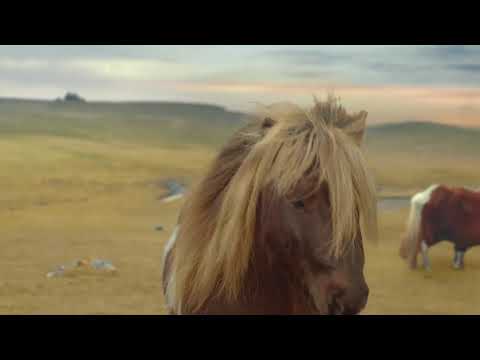 Three Pony Advert (Fleetwood Mac - Everywhere) [2013]