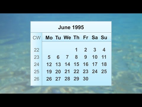 June 1995 Calendar