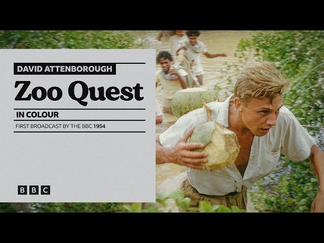 David Attenborough Celebrates Centenary Amid Global Acclaim — image 6