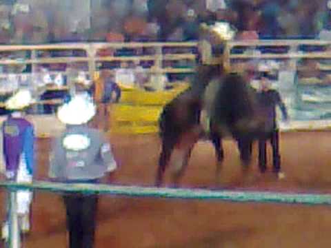 FINAL - OCTAVIO BRUNO VS LOUCO AMOR ( SAO FRANCISCO)