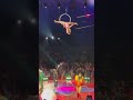 New York Big Apple Circus Dream Big Shorts 3