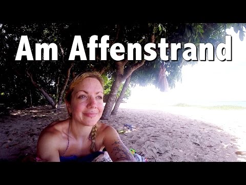 Indonesien #041: Sanur, Müll & wilde Affen am Melasti Beach | Bali