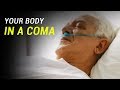 How does a coma affect the body?