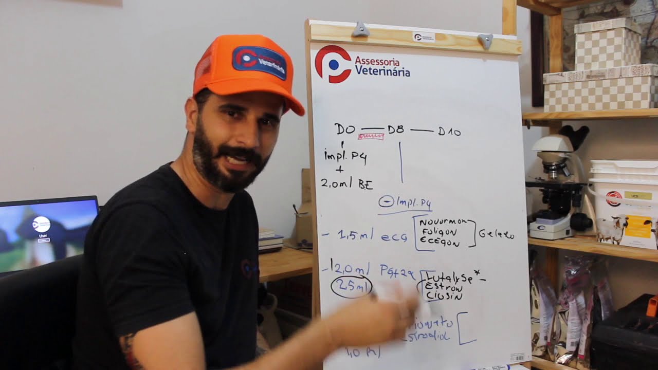 #56 - PROTOCOLO DE I.A.T.F (Aprenda!) Tudo que você precisa saber | CP Assessoria Veterinária