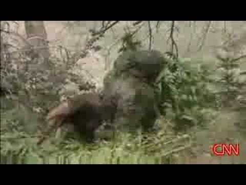 Mexican cartels running pot farms in U.S. national forest 1