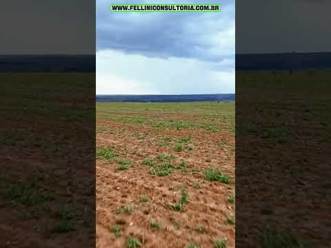 768 HECTARES VENDO NA REGIÃO DE ITIQUIRA MT