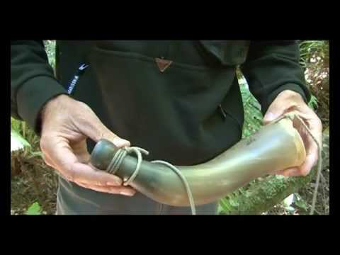 Types of roaring horns - Roarin in Reds