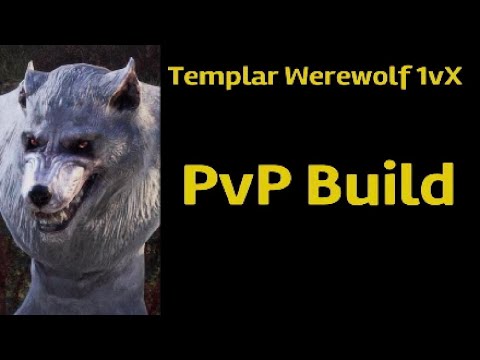 ESO - Templar Werewolf 1vX PvP Build Video - The Wolf of Burning Light