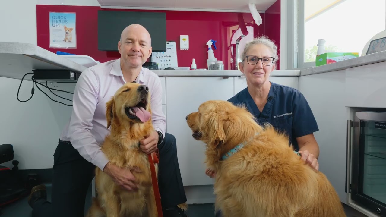 Vet Owners