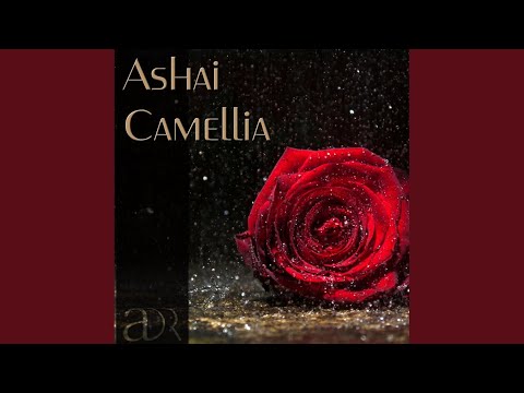 Camellia (Original Mix)