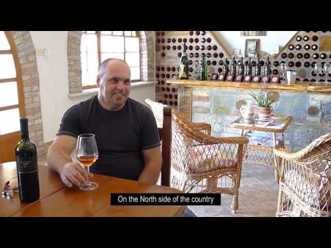 Soul Vine -  Nando Wine