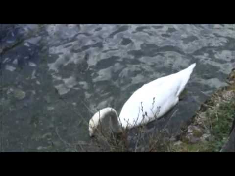 Vremenska prognoza za utorak - 11.7.2017.