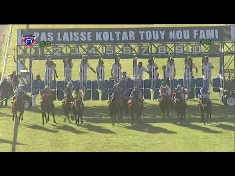 RM5 R8 - Arctic Flyer(M.Mina)