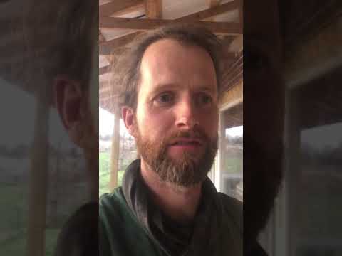 Prodex Total Insulation Review: House Roof, Walls and Ducts Insulation