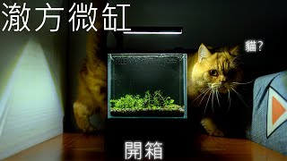 小巧美型的微型魚缸 | 澈方微缸 | 療癒系桌上魚缸 | CHE FANG AQUA | Nano Desktop Aquarium All-in-One Tank