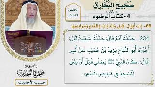 [234] حديث: كان النبي يصلي قبل أن يبنى المسجد في مرابض الغنم [كتاب الوضوء]