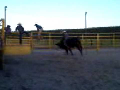 Crimber x Corvo (Cia Apocalipse)