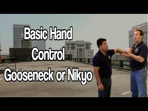 Gooseneck Wrist Lock (Nikyo): Ultimate Self-Defense Technique #aikido #hapkido #martialarts