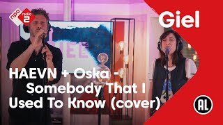 Musik-Video-Miniaturansicht zu Somebody That I Used to Know (Gotye Cover) Songtext von Haevn